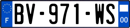 BV-971-WS