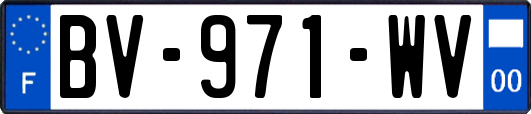 BV-971-WV