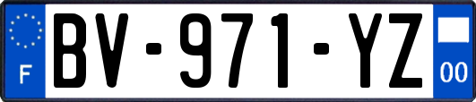 BV-971-YZ