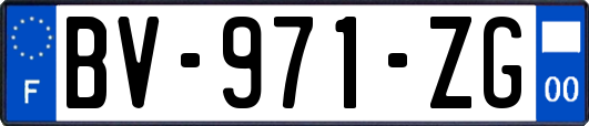 BV-971-ZG