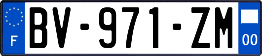 BV-971-ZM