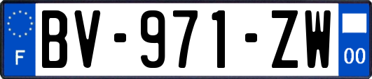 BV-971-ZW