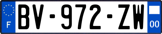 BV-972-ZW