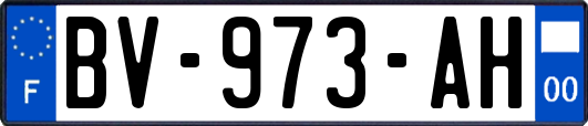 BV-973-AH