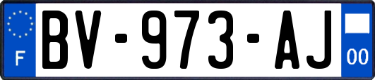 BV-973-AJ