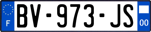 BV-973-JS