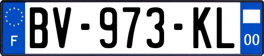 BV-973-KL