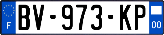 BV-973-KP