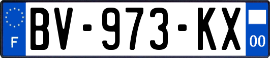 BV-973-KX