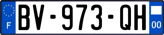 BV-973-QH