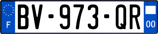 BV-973-QR