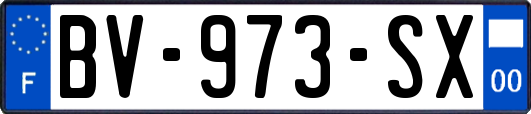 BV-973-SX