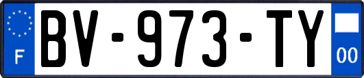 BV-973-TY