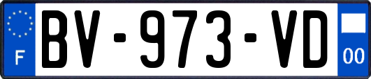 BV-973-VD