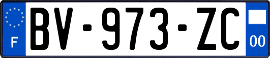 BV-973-ZC