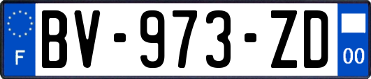 BV-973-ZD