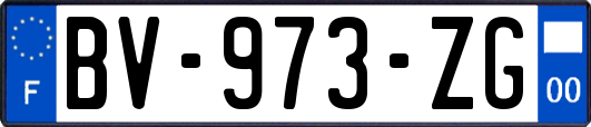 BV-973-ZG