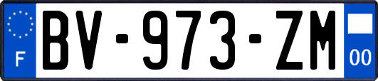 BV-973-ZM