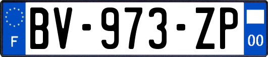 BV-973-ZP