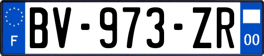 BV-973-ZR