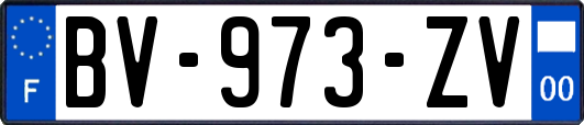 BV-973-ZV