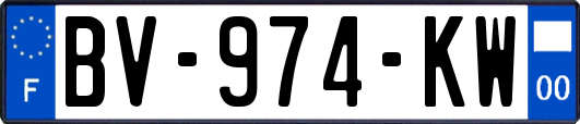BV-974-KW