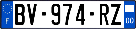 BV-974-RZ