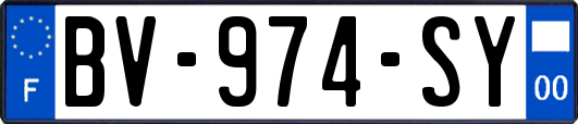 BV-974-SY