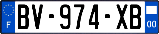 BV-974-XB