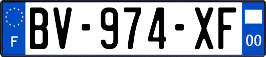 BV-974-XF