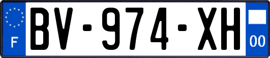 BV-974-XH