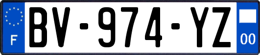 BV-974-YZ