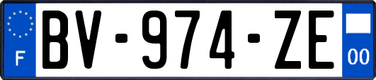 BV-974-ZE