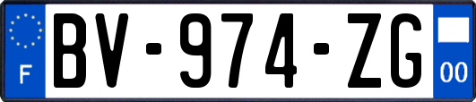 BV-974-ZG