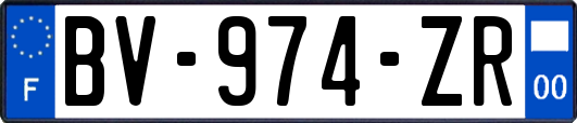 BV-974-ZR