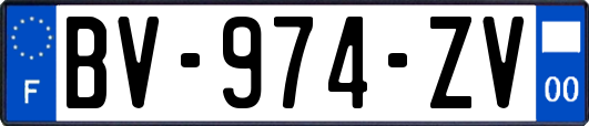 BV-974-ZV