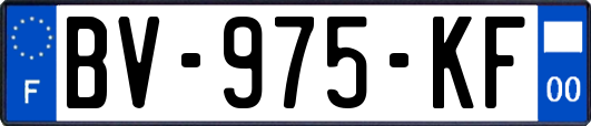 BV-975-KF
