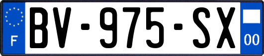 BV-975-SX