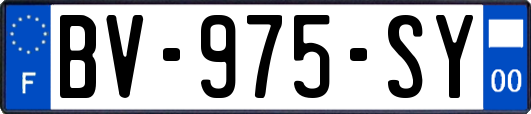 BV-975-SY