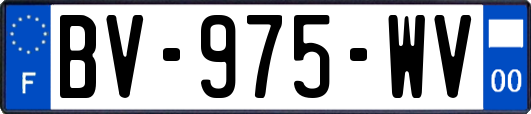 BV-975-WV