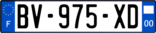 BV-975-XD