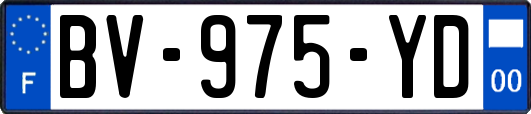 BV-975-YD