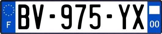 BV-975-YX