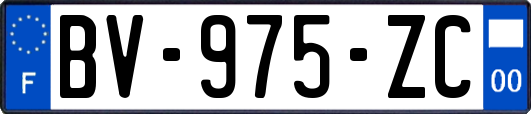 BV-975-ZC