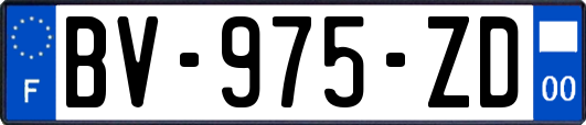 BV-975-ZD