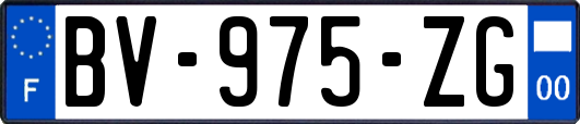 BV-975-ZG