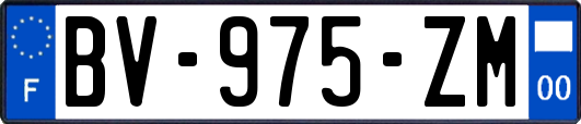 BV-975-ZM