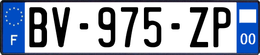 BV-975-ZP