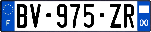 BV-975-ZR