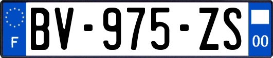 BV-975-ZS